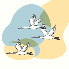 Obraz premium white birds flying in sky