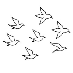 white birds flying in sky