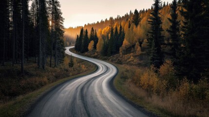 Obraz premium Winding road through a dense forest with autumn foliage, featuring tall pine and deciduous trees under a setting sun.