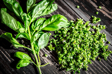 freshly cut basil including the flowers