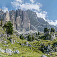 rocks and trees on Sasso Piatto  southern slope, Italy