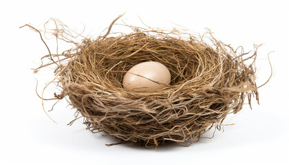 A bird nest elevation front view isolated