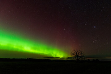 Aurora borealis, The Northern lights at Ventspils, Latvia.