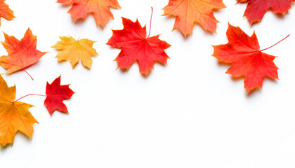 Verschiedenfarbige Herbstblätter in Rot, Orange und Gelb sind gleichmäßig auf einem weißen Hintergrund verteilt. Platz für Text. Generative KI