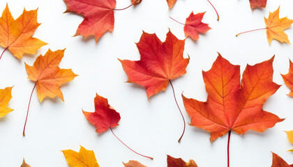 Verschiedenfarbige Herbstblätter in Rot, Orange und Gelb sind gleichmäßig auf einem weißen Hintergrund verteilt. Generative KI