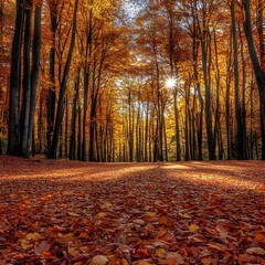 Golden sunlight streams through a canopy of autumn leaves, casting long shadows on the forest floor.