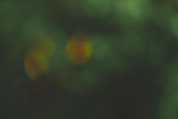 ressource graphique pour arrière plan, billes de bokeh nuancé de couleur variée pour fête