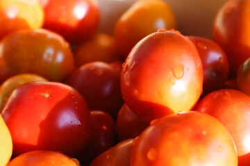 Fresh tomatoes, It can be used as background. Delicious red tomatoes in Summer rays
