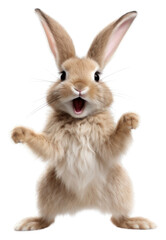 Fototapeta premium PNG Happy smiling dancing rabbit mammal rodent animal.