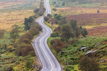 A Remote Road Winds Gracefully Through the Untouched Beauty of the Countryside, Surrounded by Green...