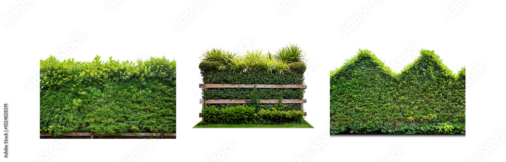 Poster three variations of green shrubbery against a white background.