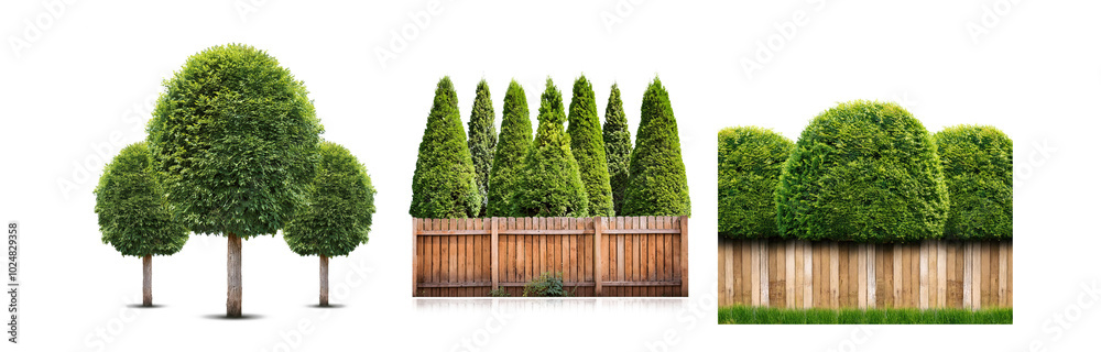 Poster green trees and shrubs with a wooden fence in between