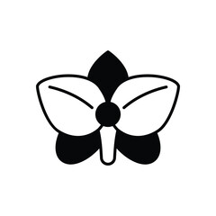 Orchid vector icons stock illustration