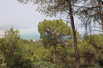 A large natural landscape along the Rif road in Morocco 