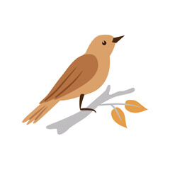 Сute little bird is sitting on a branch. Vector illustration on a white background.