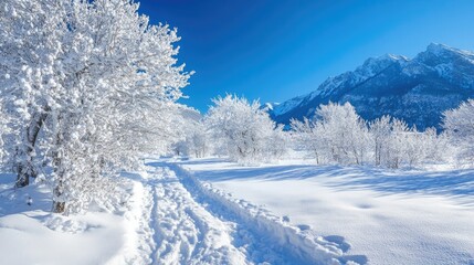 Snow-covered mountain path with a clear blue sky for copy space