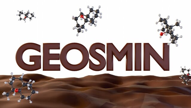 3d rendering of word "GEOSMIN" written in bold, 3D letters and chemical structure of geosmin molecules scattered around