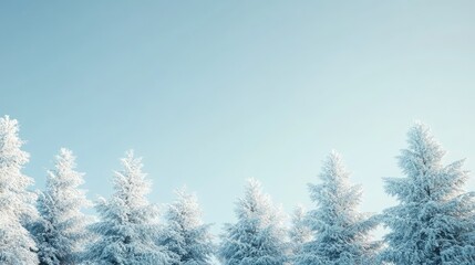 Snow-covered pine trees against a clear blue winter sky, with a large area of copy space for text