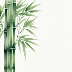 Bamboo on the left side against a white background, in watercolor