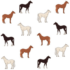 Different breed horse - seamless trendy pattern with animal. Contour vector illustration for prints, clothing, packaging and postcards.