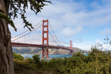 Breathtaking view of the iconic Golden Gate Bridge spanning the bay, framed by lush greenery and a clear blue sky.