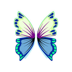 delicate fairy wings cartoon. fantasy enchanted, gossamer translucent, iridescent whimsical delicate fairy wings sign. isolated symbol vector illustration