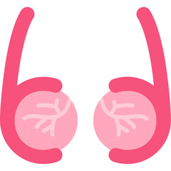 Fototapeta premium Testis Icon