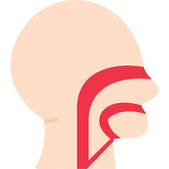Nasal Icon