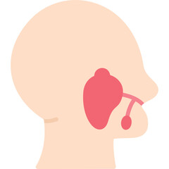Salivary Glands Icon