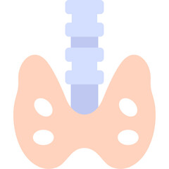 Vertebra Icon