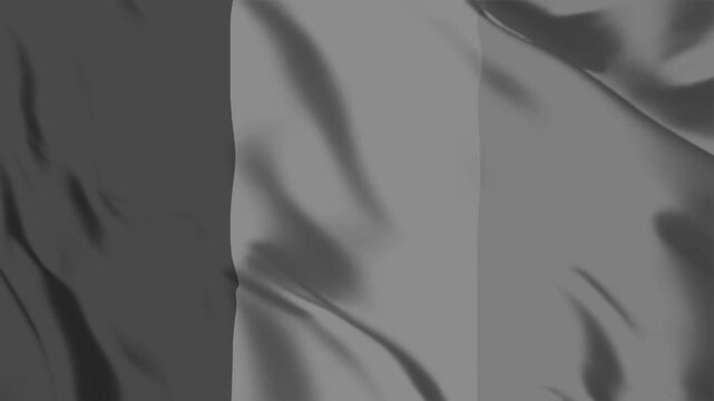 マリの国旗がモノクロからカラーになって、またモノクロに戻ります。