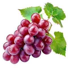Fototapeta premium bunch of grapes