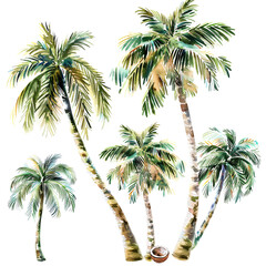 Obraz premium trees