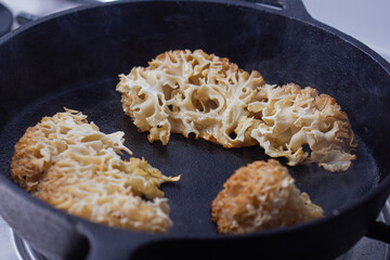 Sparassis crispa frying.