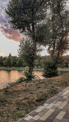 beautiful view of the lake surrounded by trees against the background of the sunset sky. beautiful landscape. screen saver