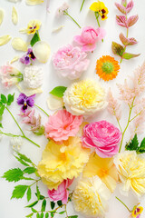 summer flowes and leaves, top view
