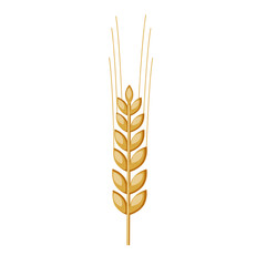 Vector illustration of a spike of wheat