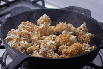 Sparassis crispa frying.