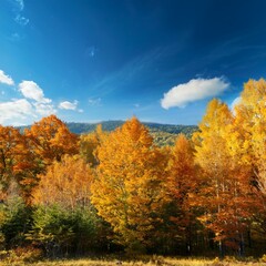 Fototapeta premium blue sky over the autumn forest