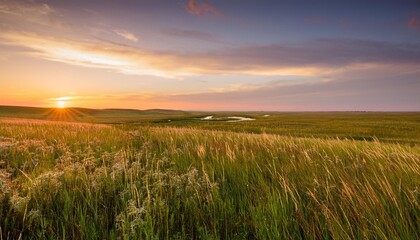 beautiful pre dawn summer photo of the vast kansas tallgrass prairie preserve