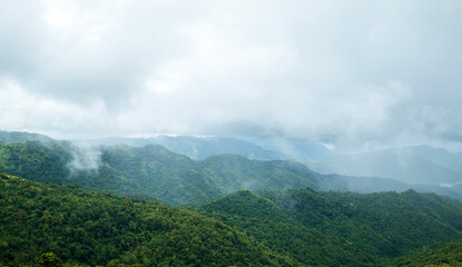 Beautiful scenery, fog and clouds on the mountain, tropical forest in rainy season in Thailand.