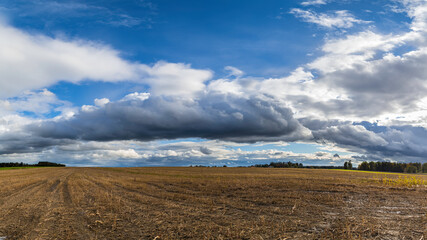 Panoramaufnahme von Regenenwolken über eien abgeernteten Maisfeld.