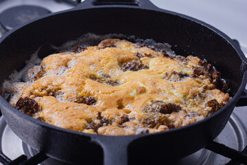 Sparassis crispa with eggs.