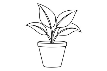 House plant in a pot doodle outline, Potted plant line art vector illustration	
