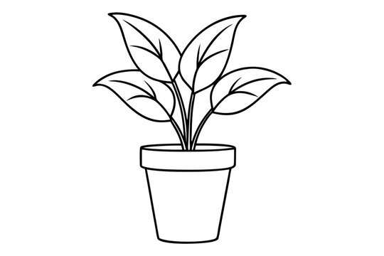 recommend clip art: House plant in a pot doodle outline, Potted plant line art vector illustration	
                    