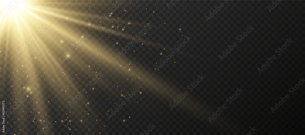 Wall mural yellow glowing light explodes on a transparent background. sparkling magical dust particles. bright 