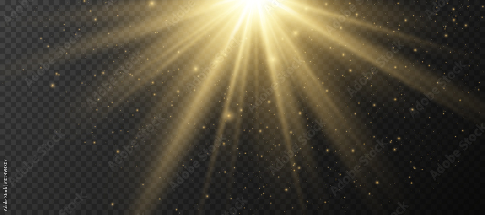 Wall mural yellow glowing light explodes on a transparent background. sparkling magical dust particles. bright 