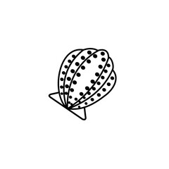 sea shell icon illustration vector