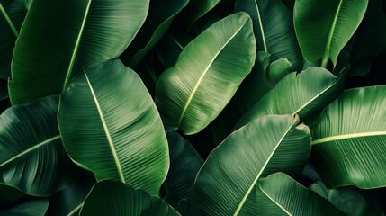 Lush green leaves densely layered, showcasing nature's beauty in a tropical environment