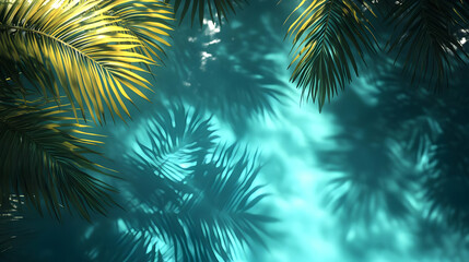 Serene water surface with palm shadows creating a tranquil atmosphere.